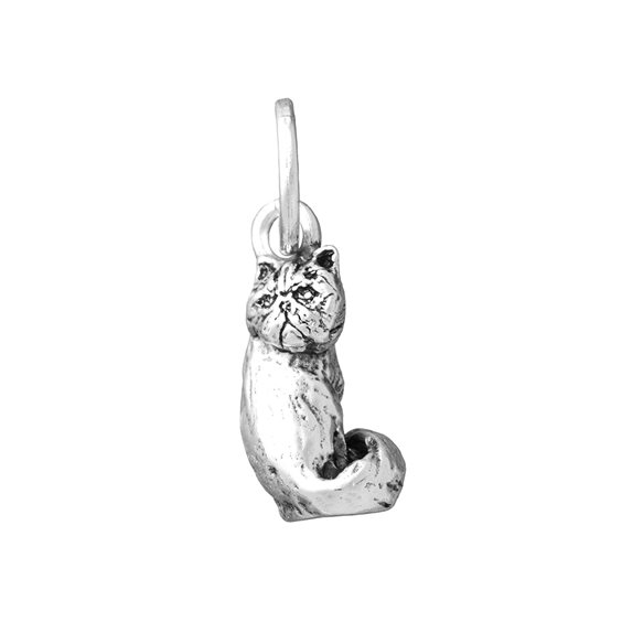 Charm Giovanni Raspini in Argento 11842 - 11842